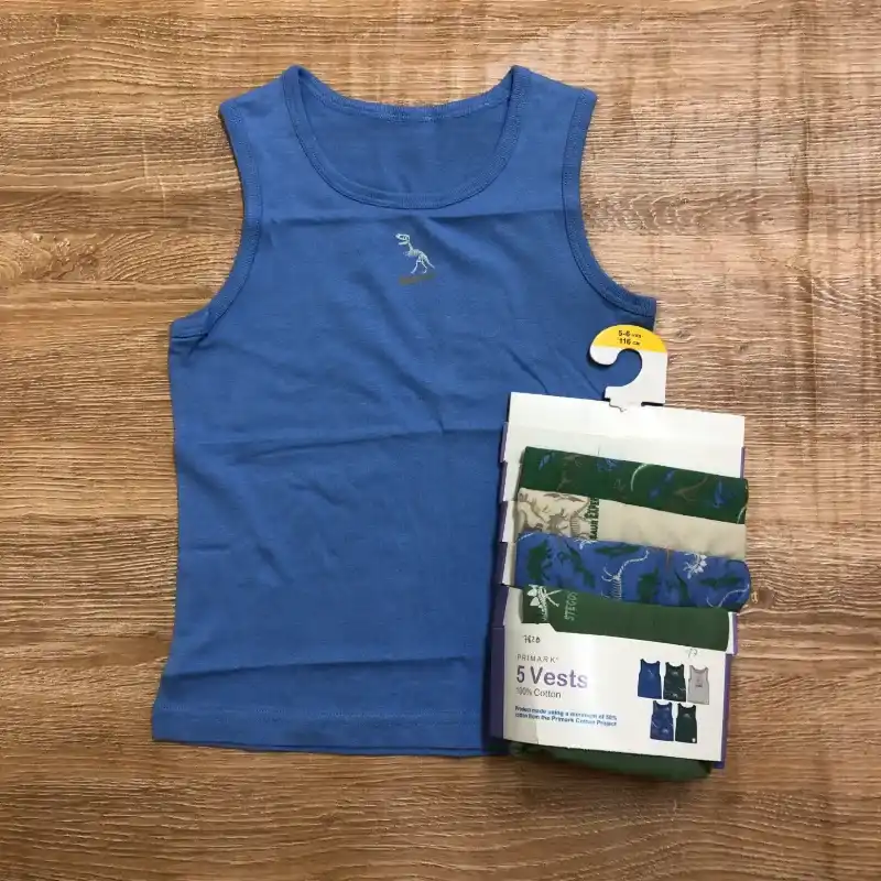 Pack de 5 camisetas de dinosaurios