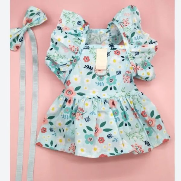 CONJUNTO BLUE