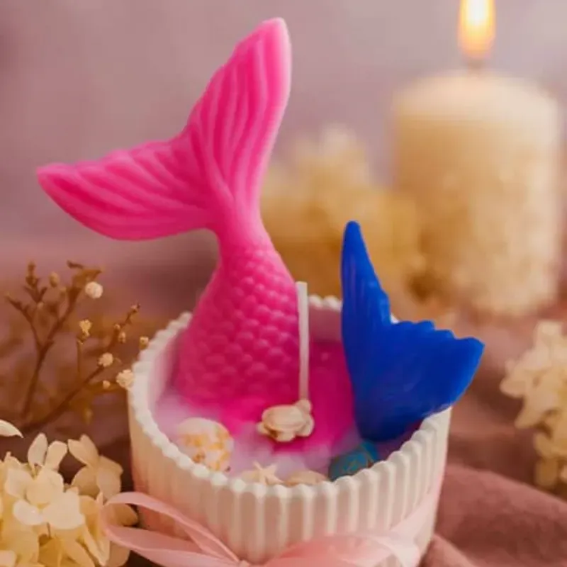 Vela de Mar ‍♀️