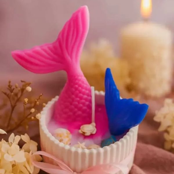 Vela de Mar ‍♀️