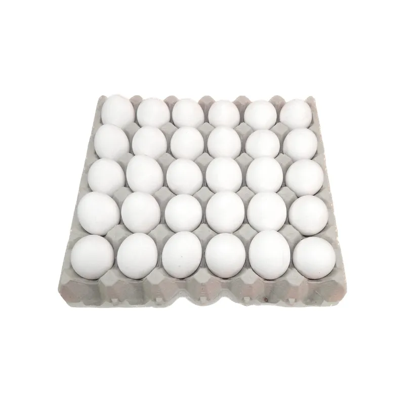 Cartón de huevo blanco frescos