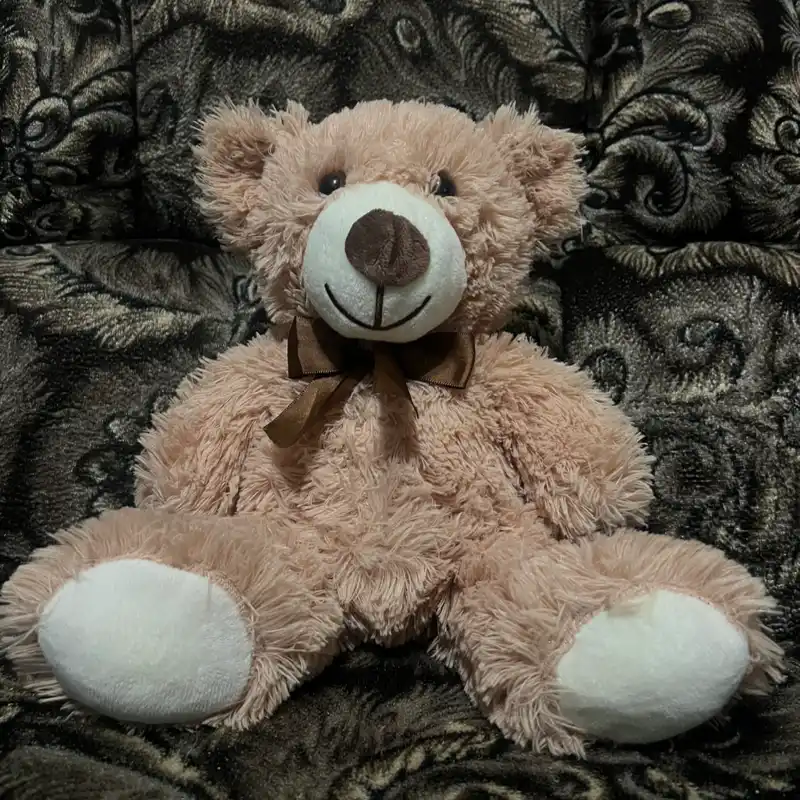 Peluche de oso