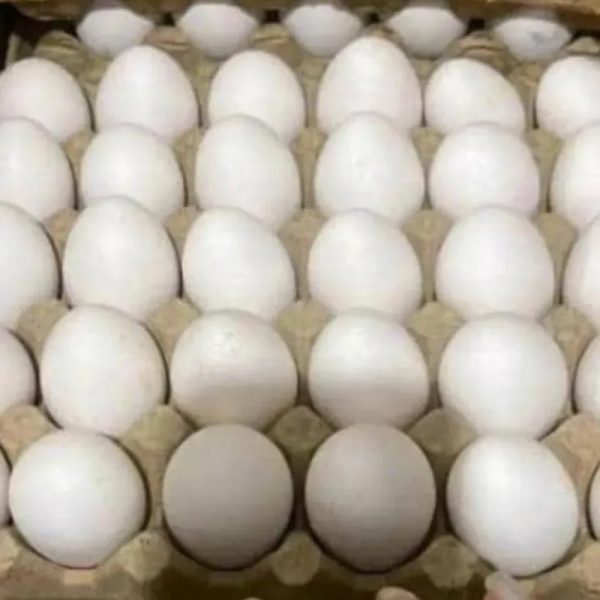 Huevos ( 30u)