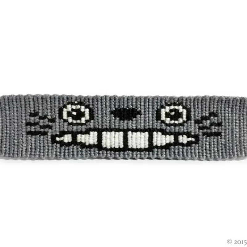 Totoro
