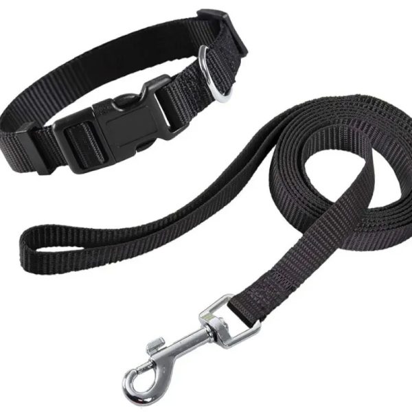 COLLAR CON CORREA