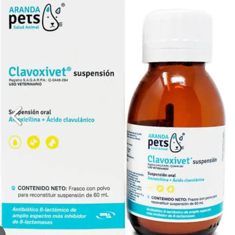 CLAVOXIVET SUSPENSIÓN 60 ML (Amoxicilina)