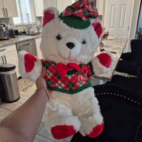Oso de peluche 