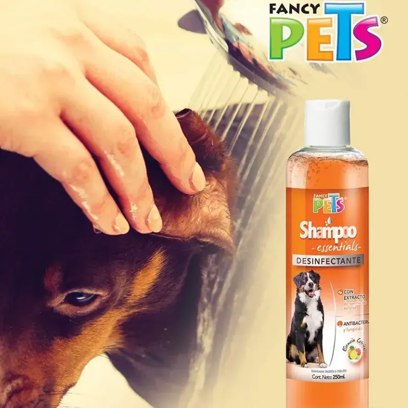 SHAMPOO DESINFECTANTE