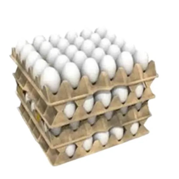 HUEVOS