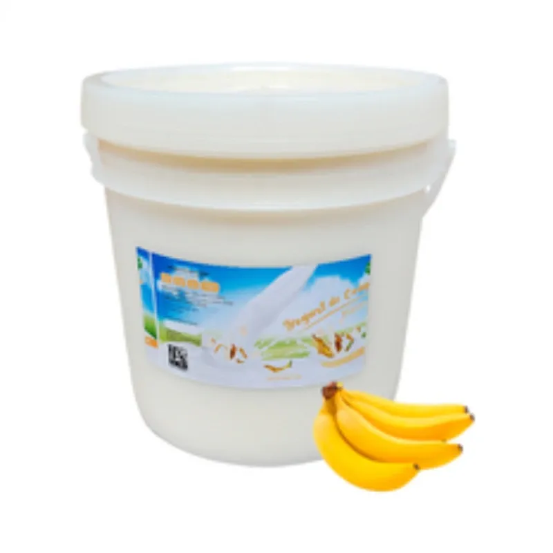 YOGURT PROBIOTICO DE PLATANO 4L