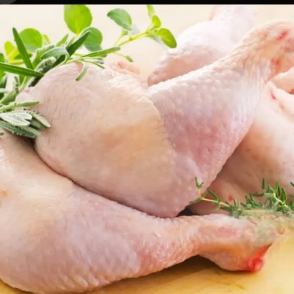 Pollo