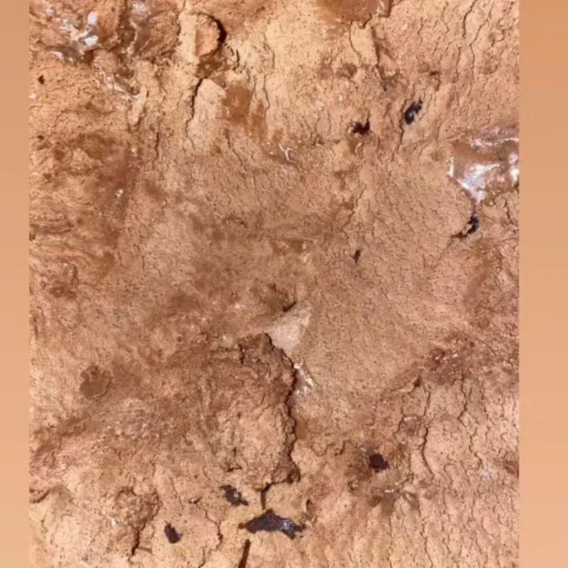 Tinas de helado coopelia 10 lt