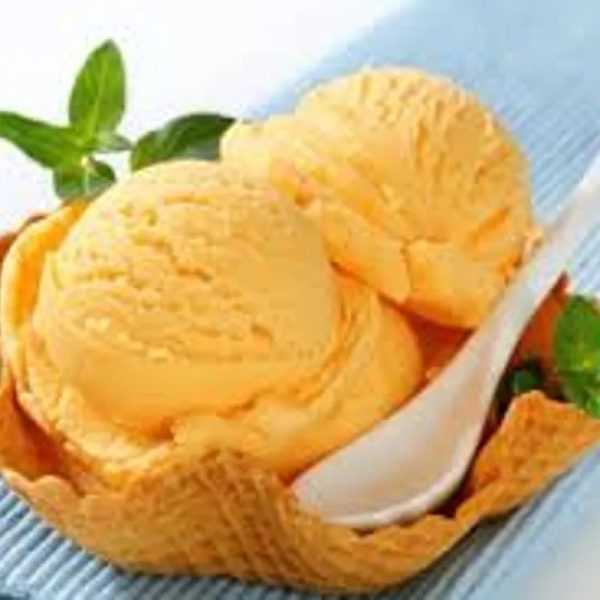 HELADO DE NARANJA-PIÑA (10 Lt)