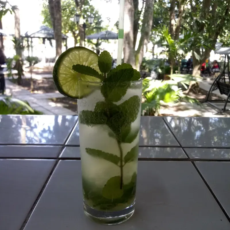 Coctel Mojito