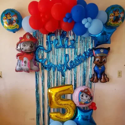 Decoraci(n de paw patrol