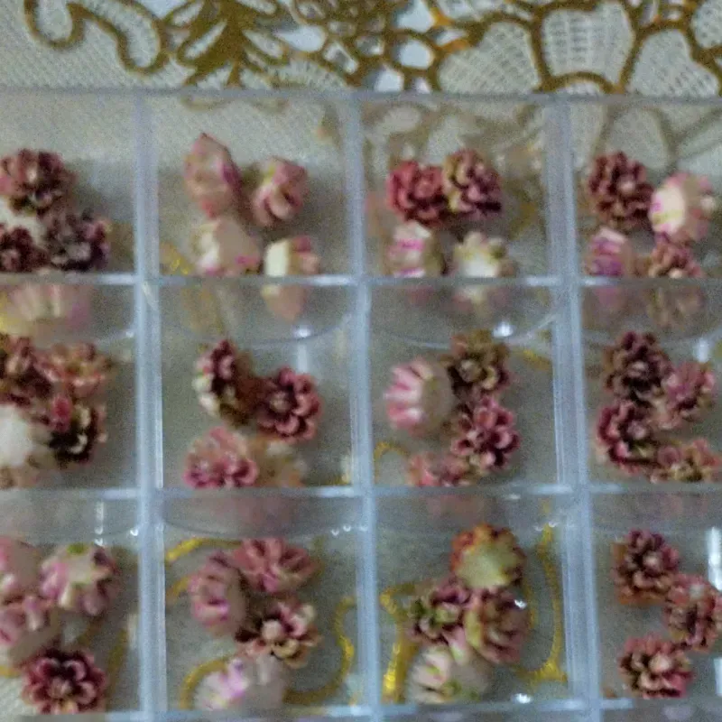 FLOR PORCELANA×  PAR y Candy