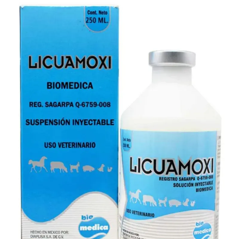 LICUAMOXI 250 ML
