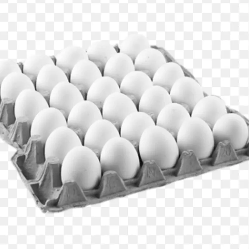Cartón de Huevos