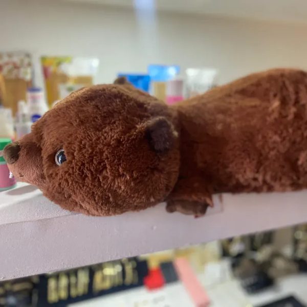 Peluche Castor 