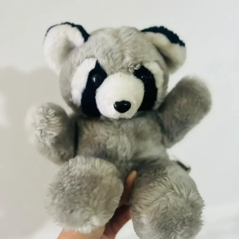 Mapache