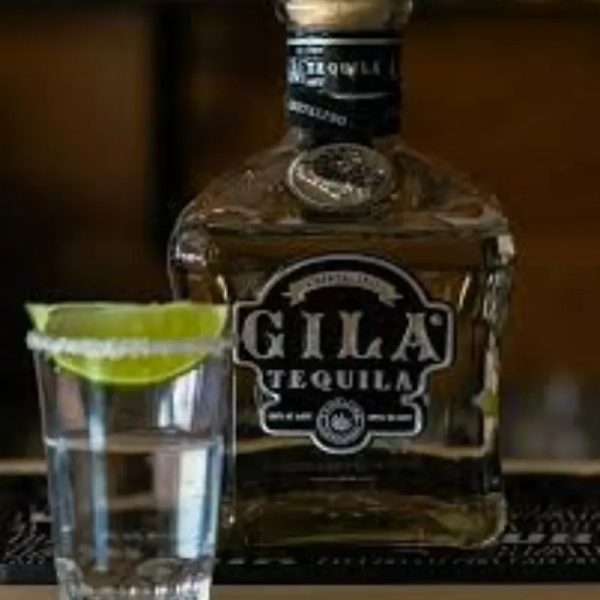 Gila Silver