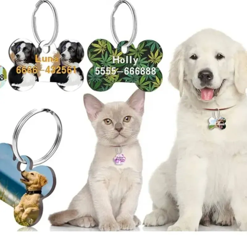 Llavero/Collar para Mascotas