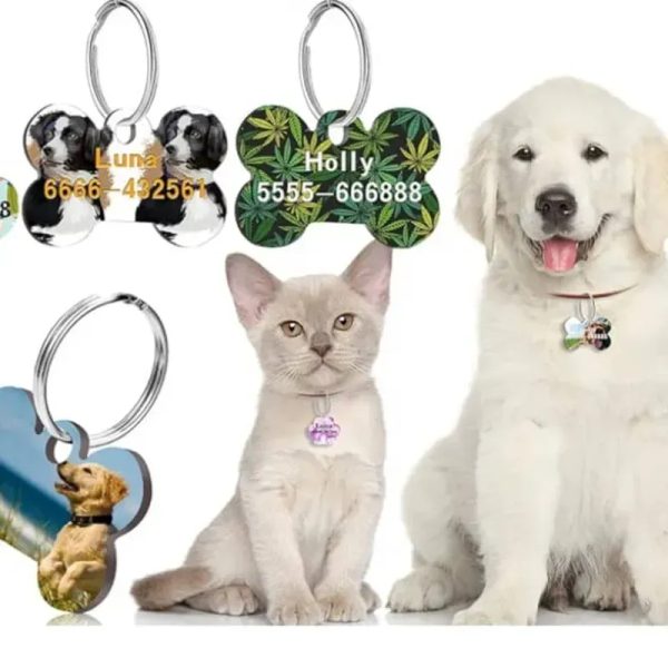 Llavero/Collar para Mascotas