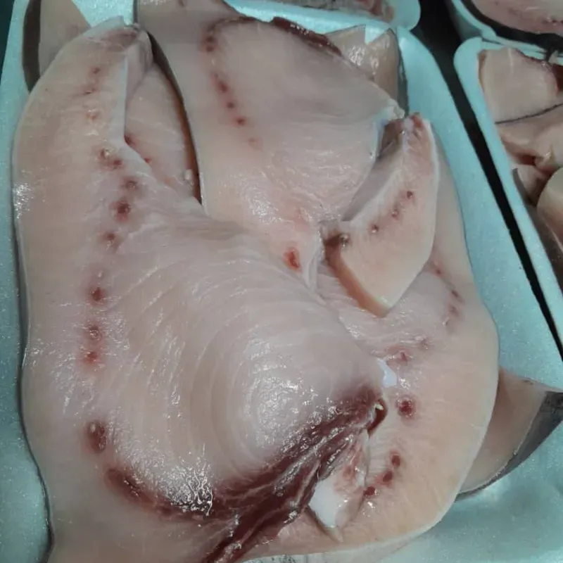 Filetes de emperador