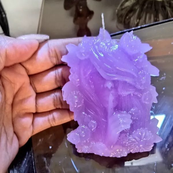 Vela de princesa en silencio