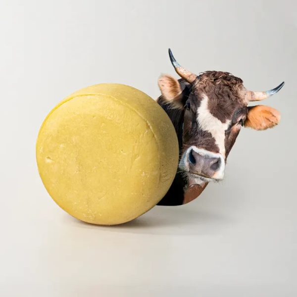 Queso Semiduro de Vaca
