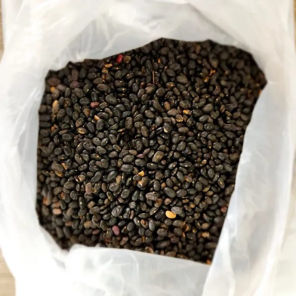 Frijoles negros