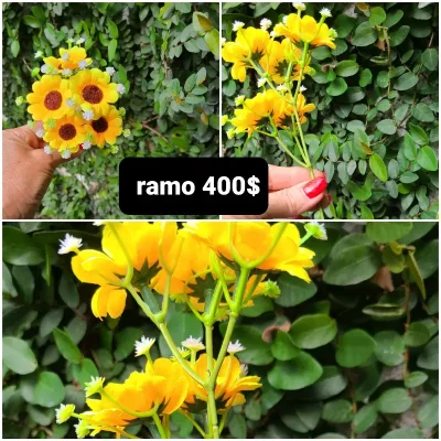 Ramo.pequeño de margaritas