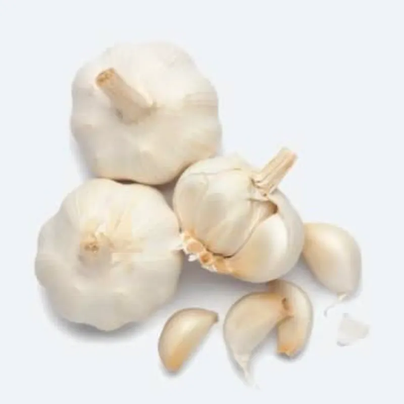 Ajo importado