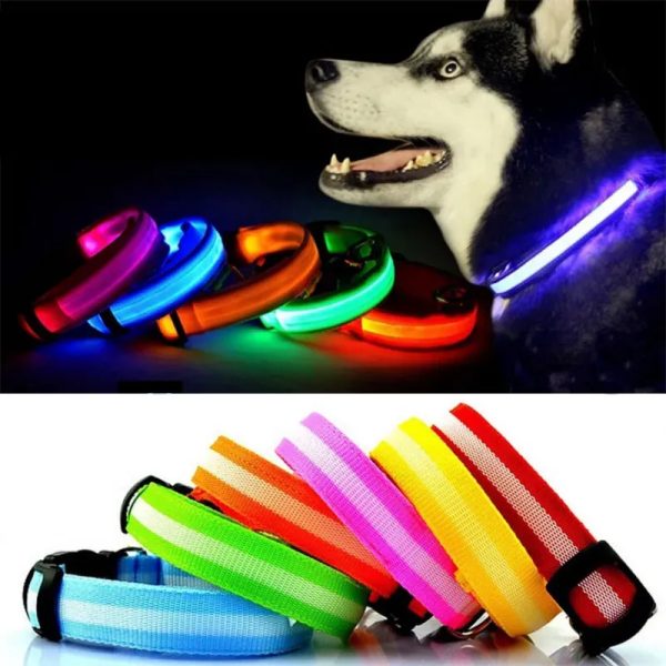 COLLAR CON LUZ LED