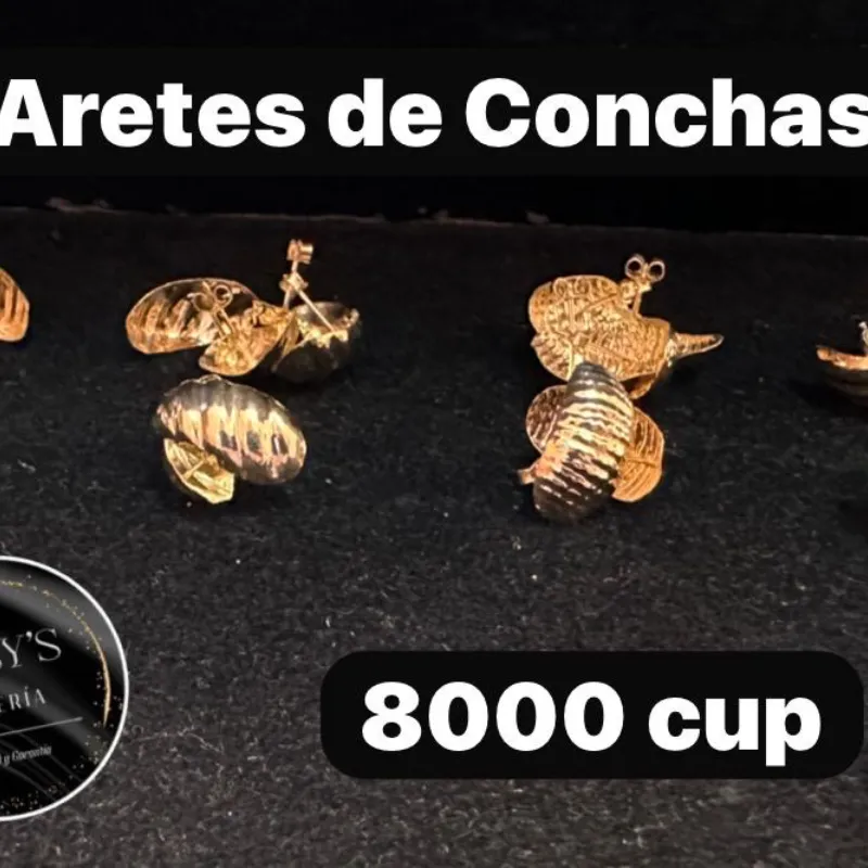 Aretes de concha