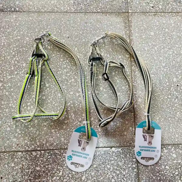Correas de paseo