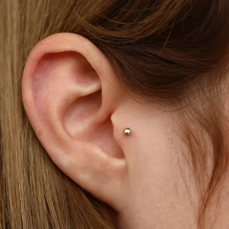 Tragus-Antitragus