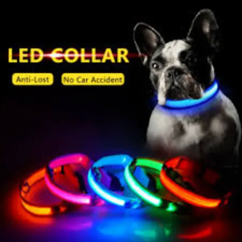 Collar con luz para perros pequeños