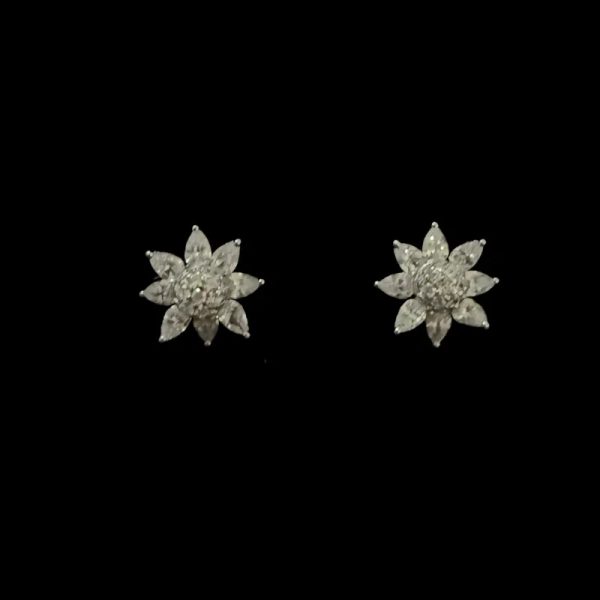Aretes 326