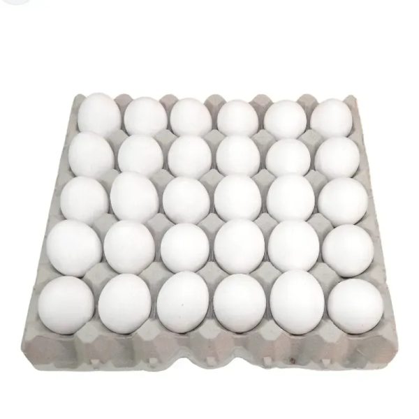 Huevos