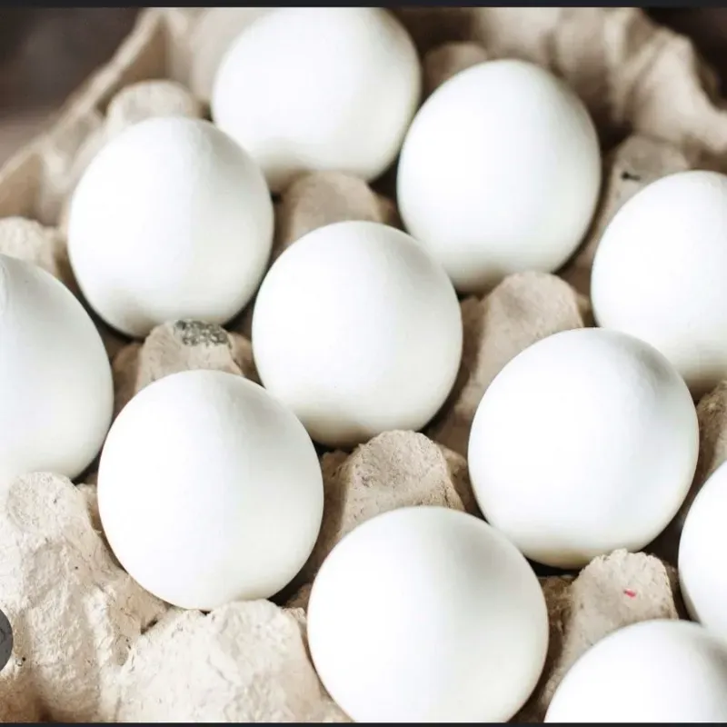 Cartón de huevo 30 uni