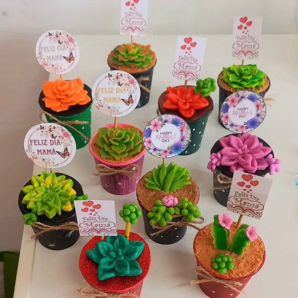 Mini cactus- 400