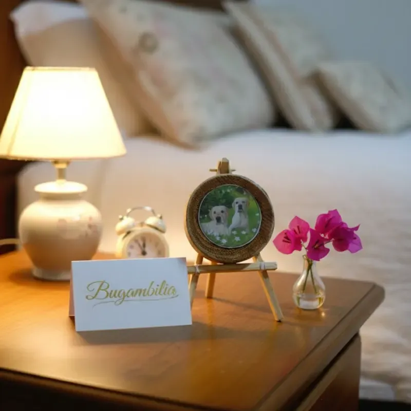 Retratos para buroes etc