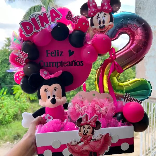 Caja de Minie