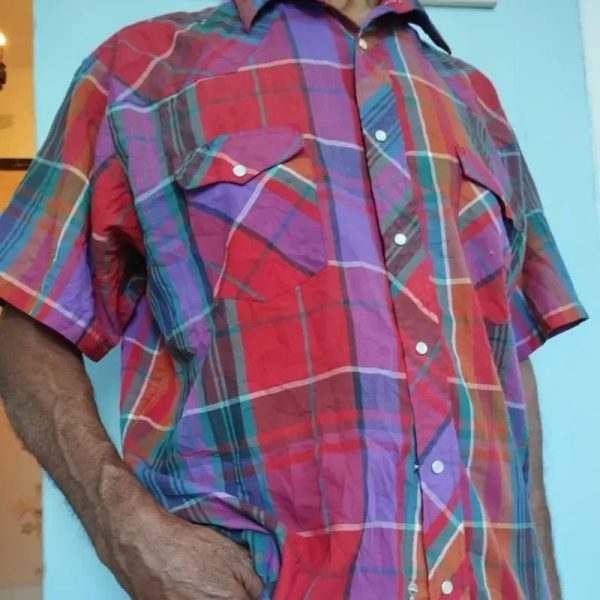 Camisa