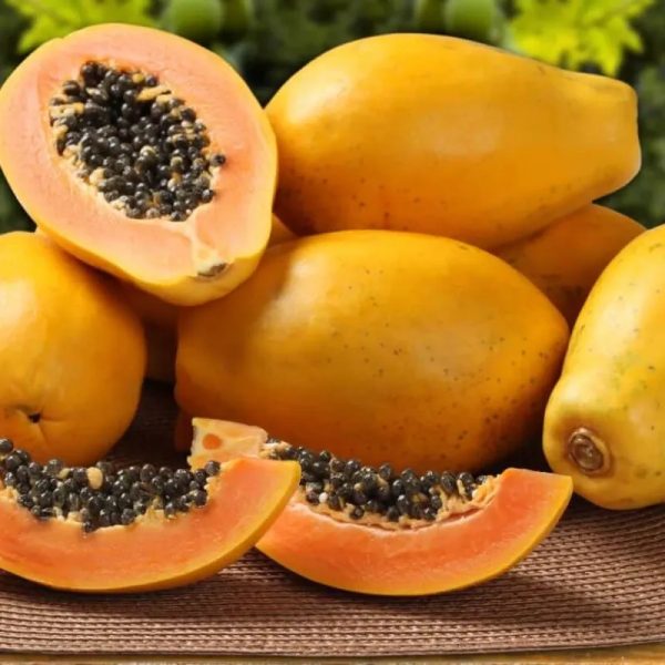 Frutabomba 3 lb