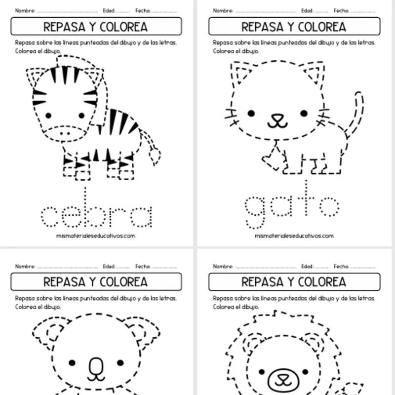 Repasa las lineas y colorea✏️