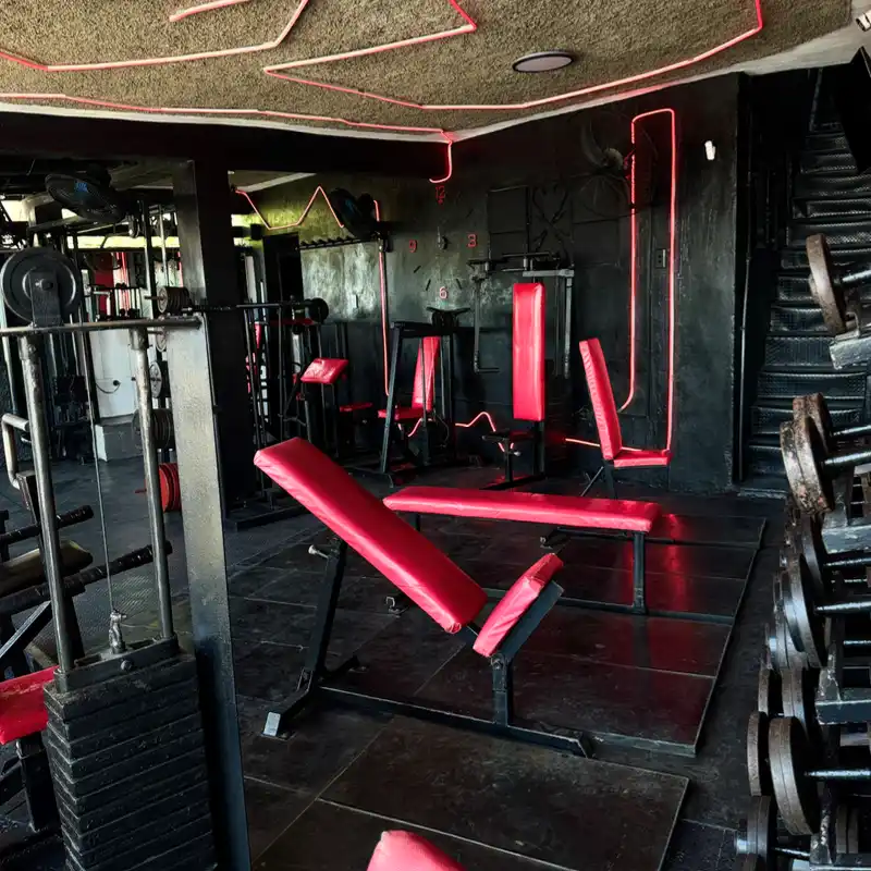 Musculación Tren Superior 