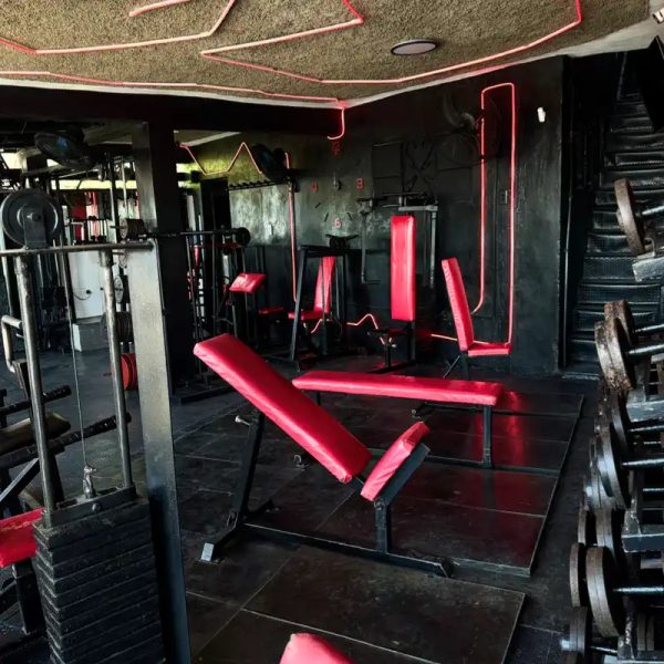 Musculación Tren Superior 