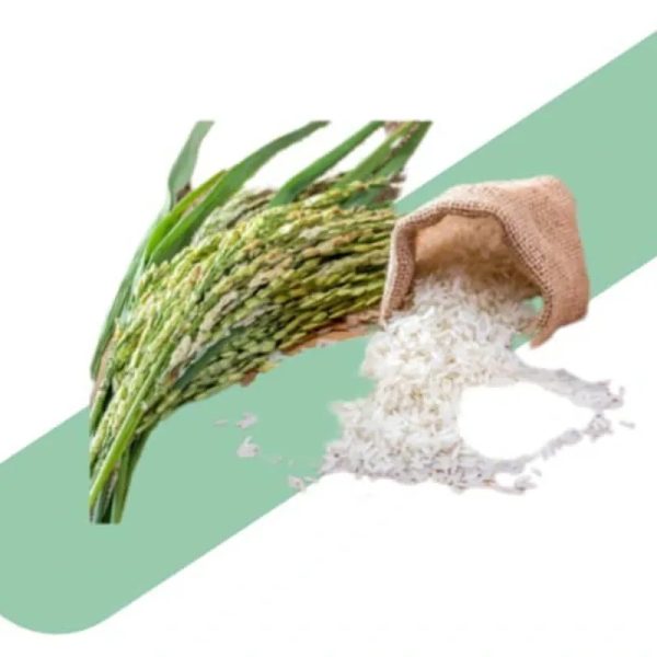 Arroz Importado 